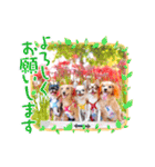 愉快な8ワンズ（個別スタンプ：12）