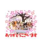 愉快な8ワンズ（個別スタンプ：14）