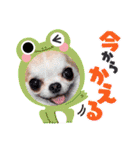 愉快な8ワンズ（個別スタンプ：16）
