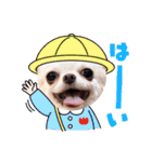 愉快な8ワンズ（個別スタンプ：17）