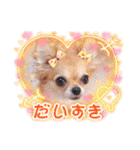 愉快な8ワンズ（個別スタンプ：28）