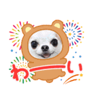 愉快な8ワンズ（個別スタンプ：31）