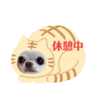 愉快な8ワンズ（個別スタンプ：34）