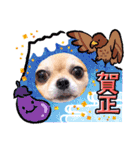 愉快な8ワンズ（個別スタンプ：35）
