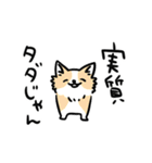 ワンデム犬けんと（個別スタンプ：8）