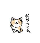 ワンデム犬けんと（個別スタンプ：13）