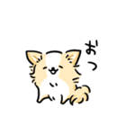 ワンデム犬けんと（個別スタンプ：18）