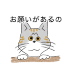 我が家の猫様の日常(再)（個別スタンプ：15）