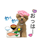 ペニ子☆日常語⑮（個別スタンプ：2）