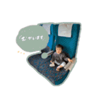きょきょの日常スタンプ1（個別スタンプ：5）