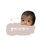 きょきょの日常スタンプ1（個別スタンプ：16）