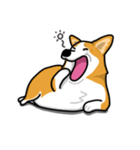 corgi-plus3（個別スタンプ：7）