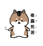 リーゼント柴犬（個別スタンプ：2）