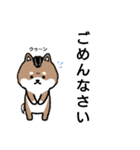 リーゼント柴犬（個別スタンプ：16）