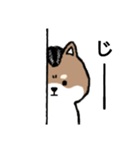 リーゼント柴犬（個別スタンプ：31）