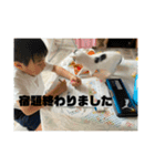 ひめぬこmoff＆mii（個別スタンプ：23）