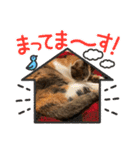 アベポンスタンプ#3（個別スタンプ：5）