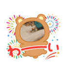 アベポンスタンプ#3（個別スタンプ：11）