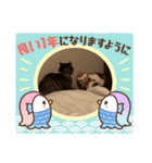 アベポンスタンプ#3（個別スタンプ：15）