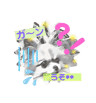 ワンコがいっぱい（個別スタンプ：12）