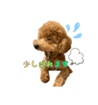 ROBの日常会話(敬語)（個別スタンプ：8）