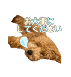 ROBの日常会話(敬語)（個別スタンプ：18）