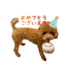 ROBの日常会話(敬語)（個別スタンプ：20）