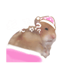 ココたん＆よもぎまる＆もんぢゃ1（個別スタンプ：3）