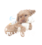 ココたん＆よもぎまる＆もんぢゃ1（個別スタンプ：10）