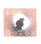 ココたん＆よもぎまる＆もんぢゃ1（個別スタンプ：11）