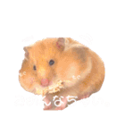 ココたん＆よもぎまる＆もんぢゃ1（個別スタンプ：12）