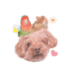 ココたん＆よもぎまる＆もんぢゃ1（個別スタンプ：16）