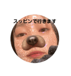 さくらをどうぞ（個別スタンプ：30）