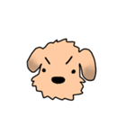 表情で語る わん吉（個別スタンプ：2）