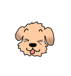 表情で語る わん吉（個別スタンプ：3）