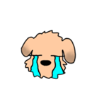 表情で語る わん吉（個別スタンプ：4）