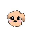 表情で語る わん吉（個別スタンプ：5）