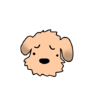 表情で語る わん吉（個別スタンプ：6）