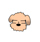 表情で語る わん吉（個別スタンプ：7）