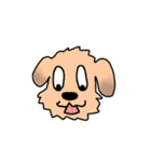 表情で語る わん吉（個別スタンプ：10）