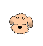 表情で語る わん吉（個別スタンプ：11）