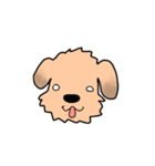 表情で語る わん吉（個別スタンプ：12）