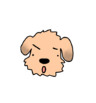 表情で語る わん吉（個別スタンプ：13）