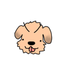 表情で語る わん吉（個別スタンプ：14）