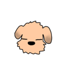 表情で語る わん吉（個別スタンプ：15）