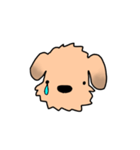 表情で語る わん吉（個別スタンプ：16）