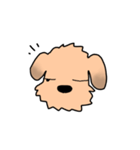 表情で語る わん吉（個別スタンプ：17）