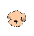 表情で語る わん吉（個別スタンプ：18）
