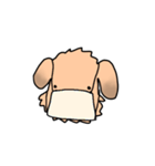 表情で語る わん吉（個別スタンプ：20）