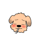 表情で語る わん吉（個別スタンプ：22）